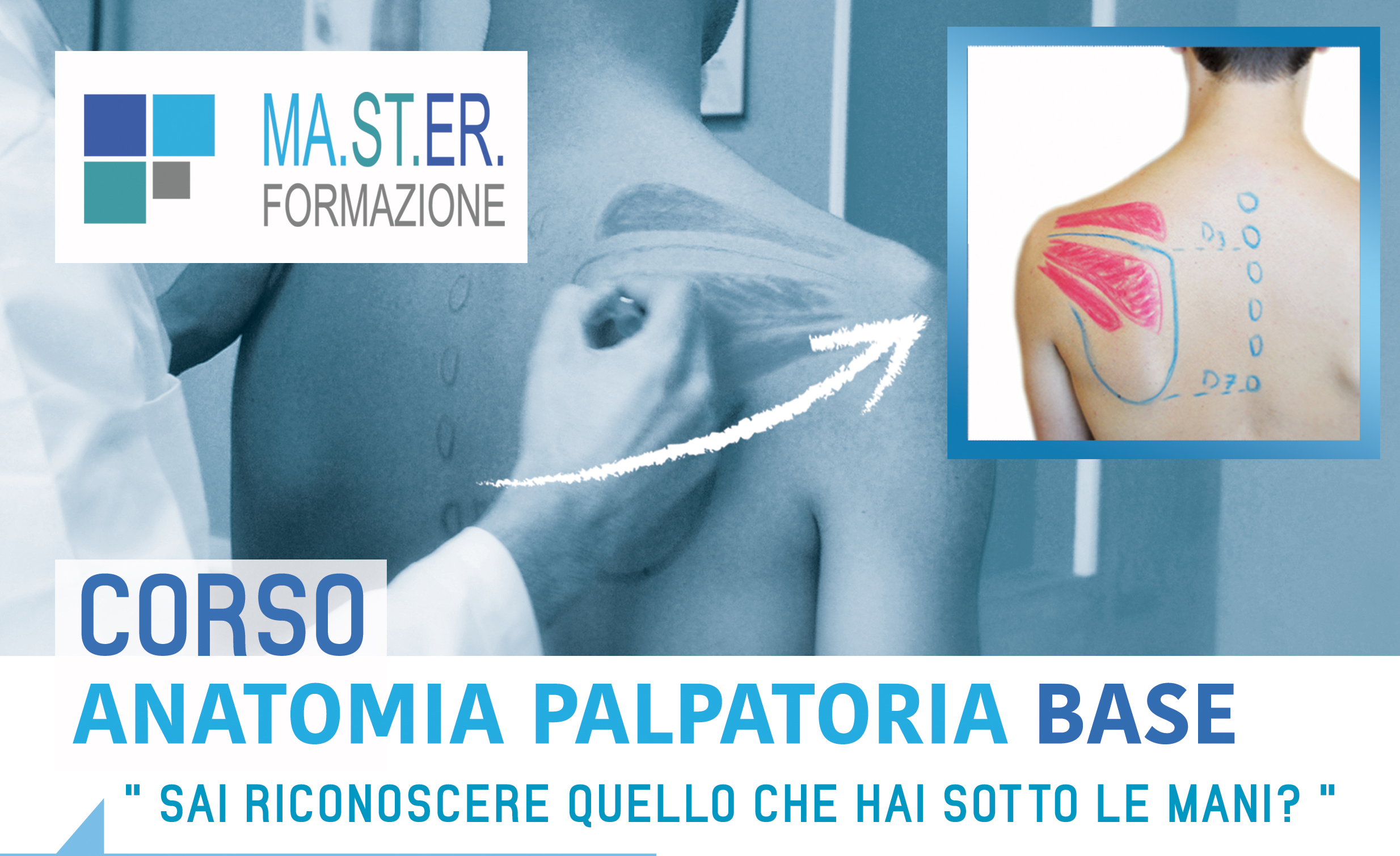 anatomia_palpatoria_fronte (1)